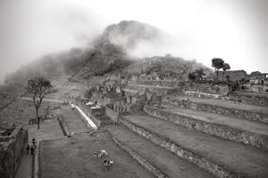 Agricultural terraces, Inca ruins, 15th century